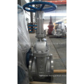 API Stainless Steel CF8 (M) /CF3 (M) Flanged Gate Valve